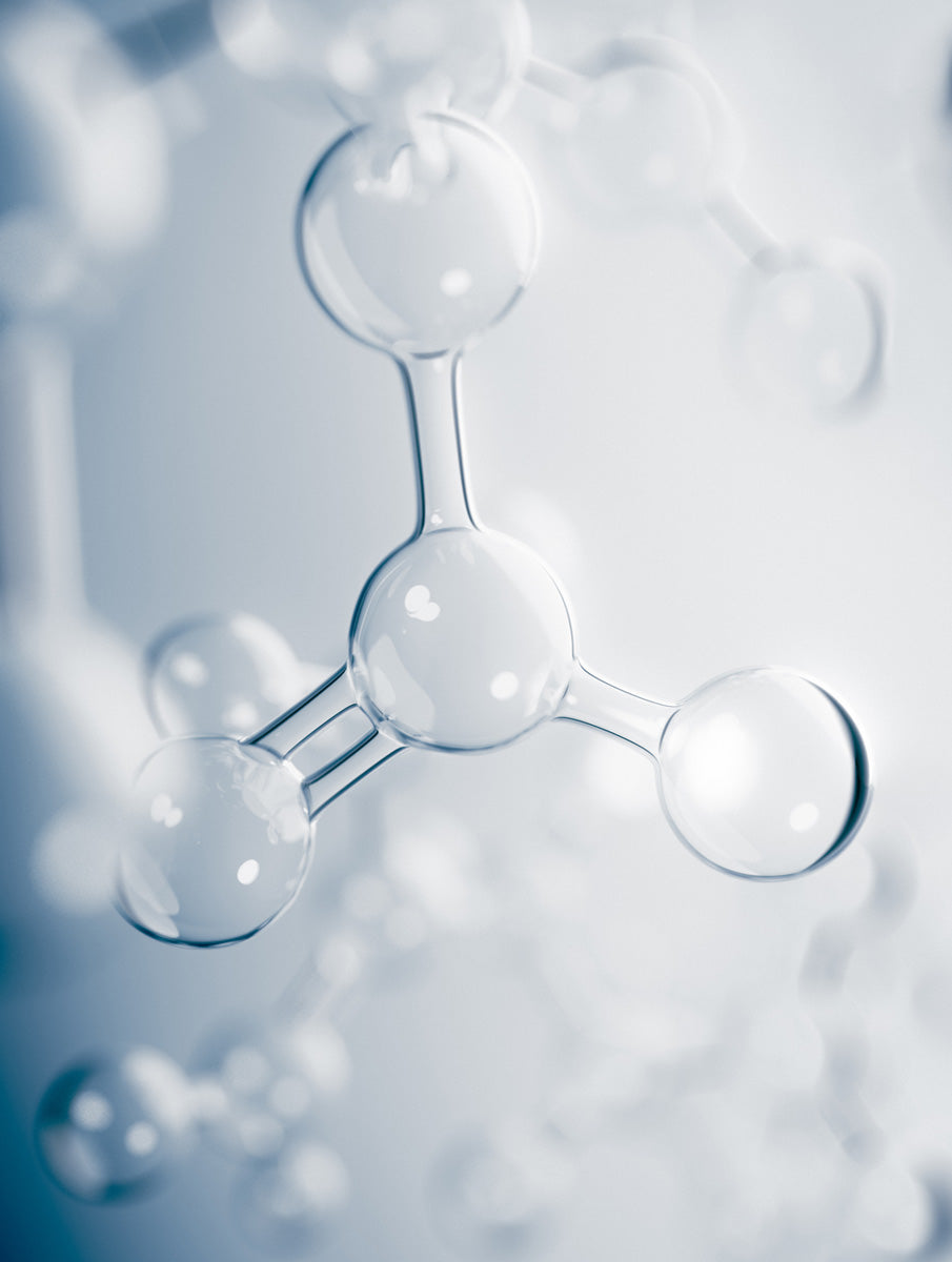 2 Peptides (Hydrolyzed Yeast Protein & Lysine HCl)