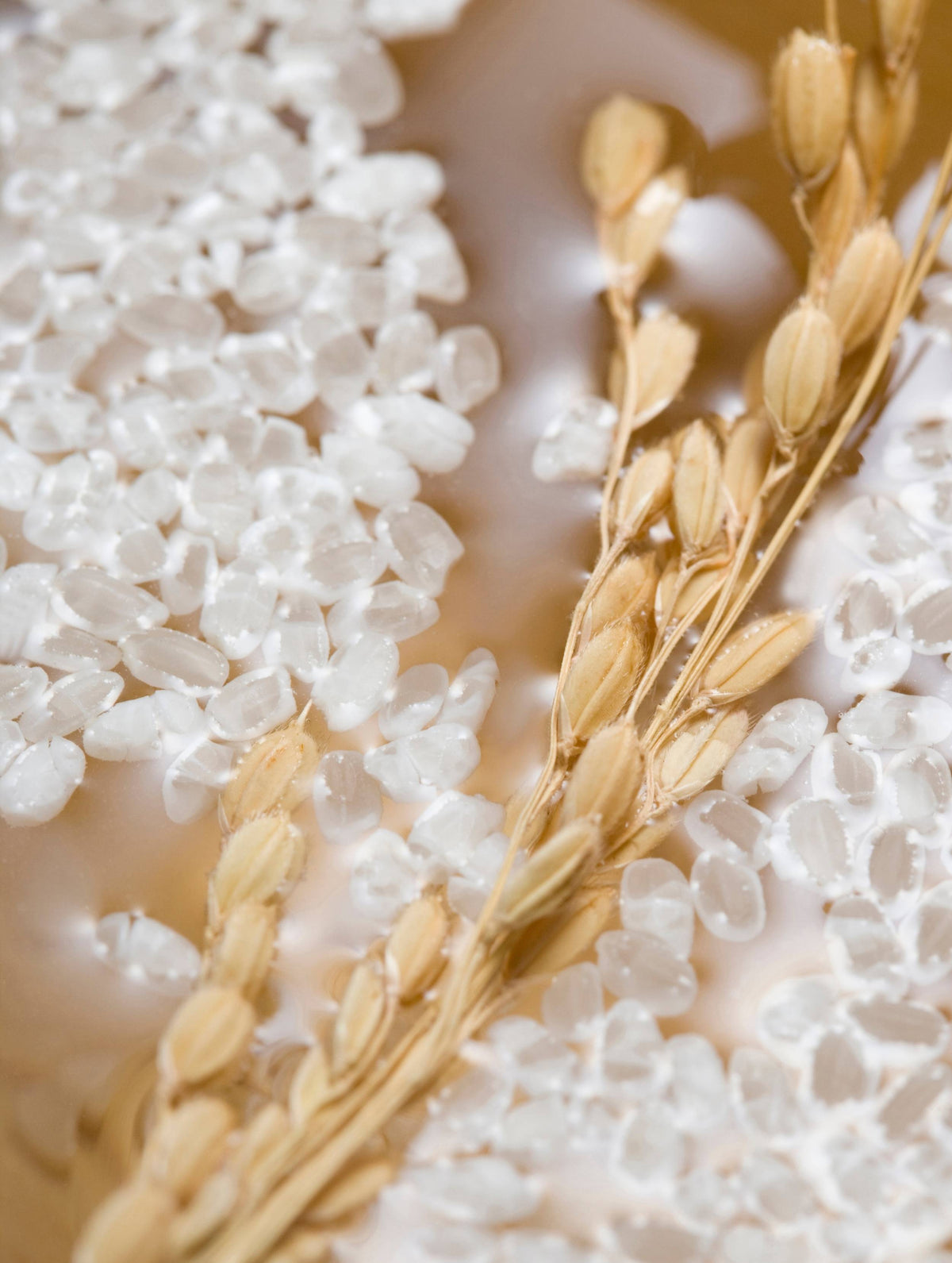 Hydrolyzed Rice Protein